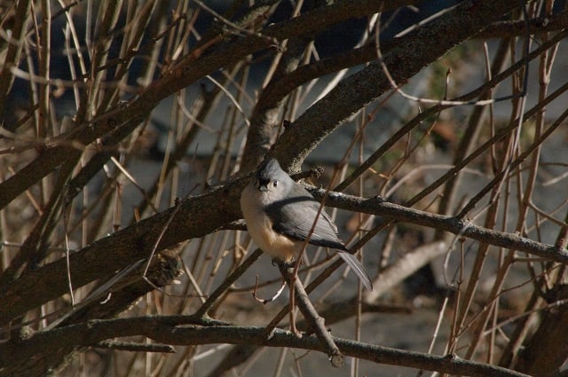1-19IMGP8477