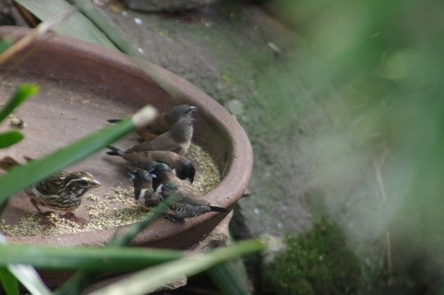 1-31IMGP2808