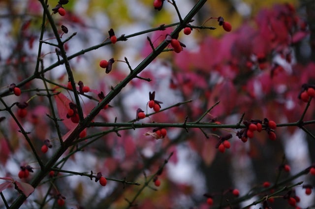 12-28IMGP3993