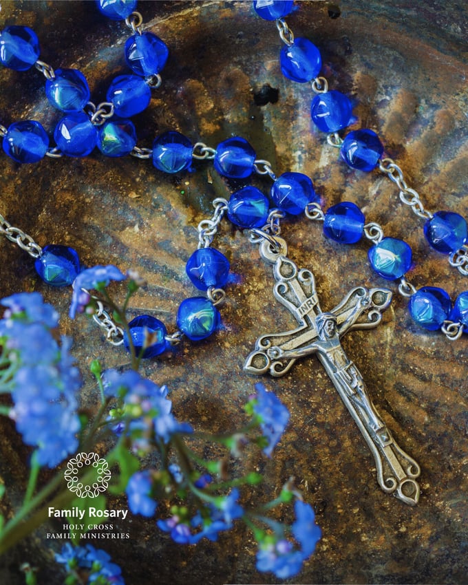 3-Dec-16-2025-10-02-52-4995-PM