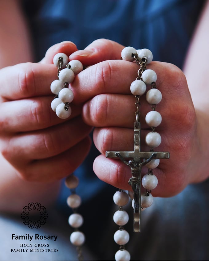 4-Nov-22-2025-04-49-56-4834-AM