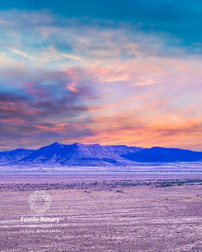 Banner_03_08_26 (Instagram Post (45))