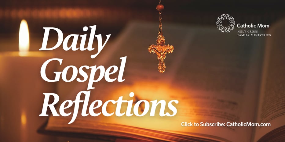 DGR Bottom Banner (1)