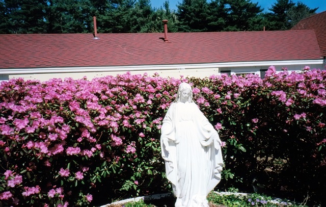 DFP image 