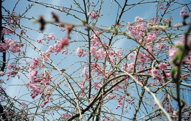 DFP image 8