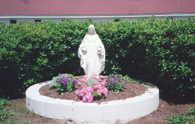 DFP image 9