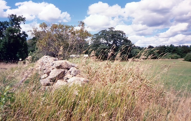 DFP_09-28-16.jpg