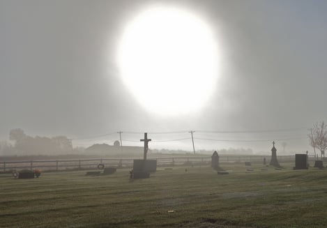DSC06655