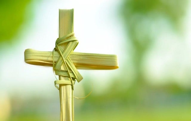 Palm Sunday Image