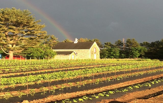 farm.jpg