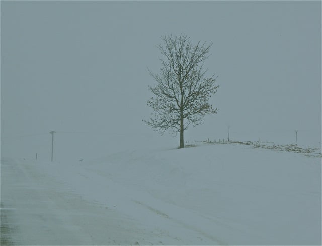 Dec 30