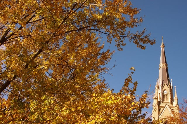 Nov 21