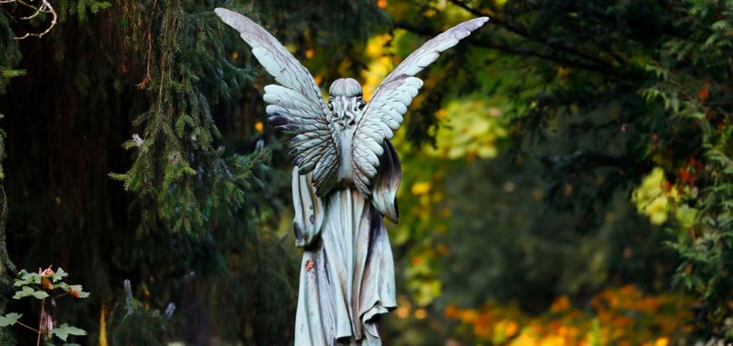 angel back-2