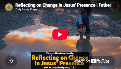 homily
