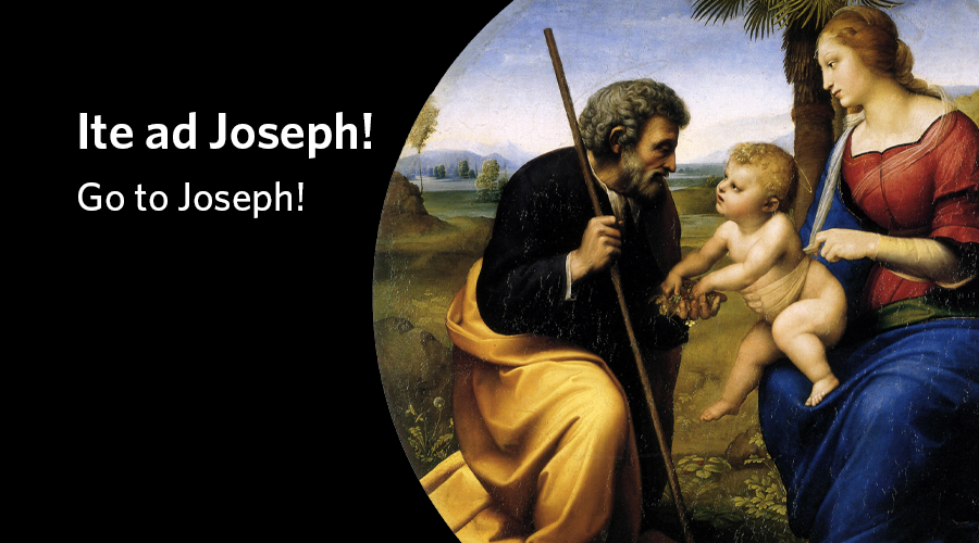 A Special Video Message from Father Willy Raymond, C.S.C., on the Feast of Saint Joseph