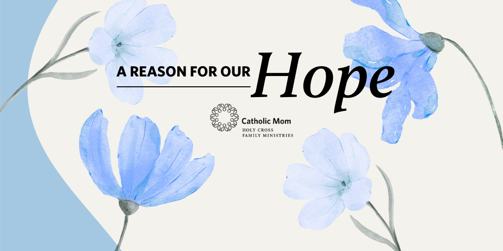 Hope Found Among the Thorns