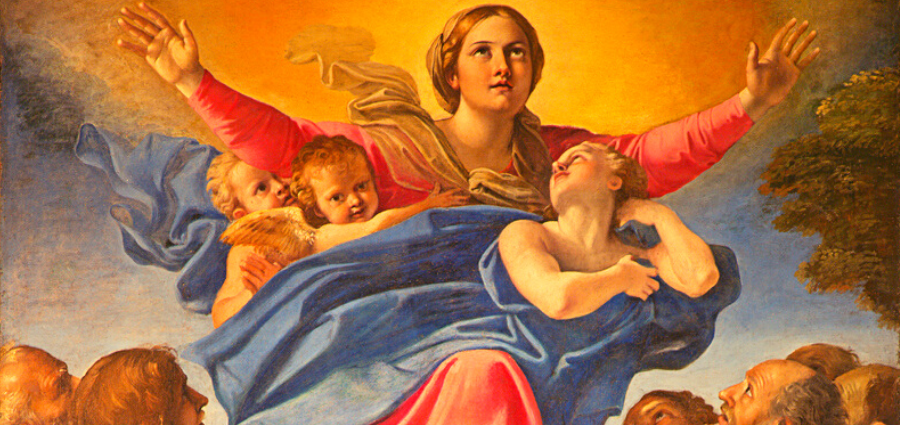 Celebrating the Assumption of Mary as a Family
