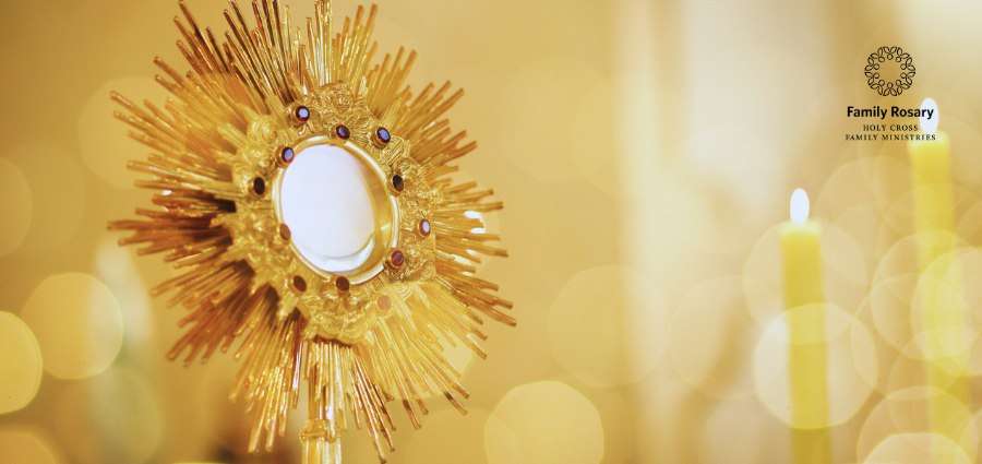 Faith in the Eucharist - Weekday Homily Video