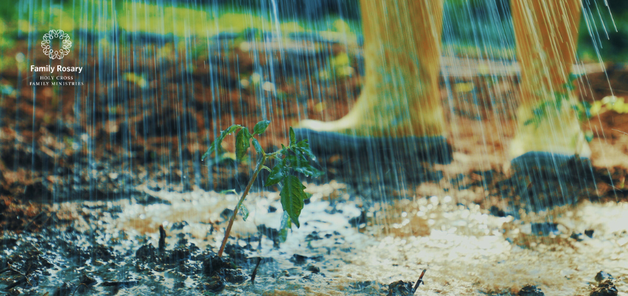 Never Underestimate the Power of Prayer - Weekday Homily Video