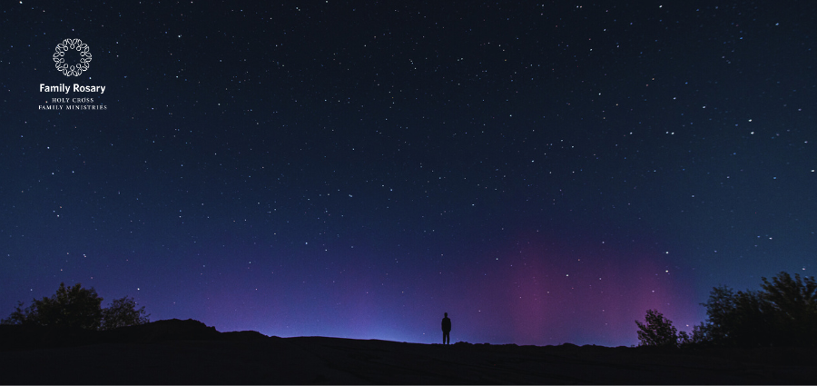 Turning Our Attention from False Lights - Weekday Homily Video