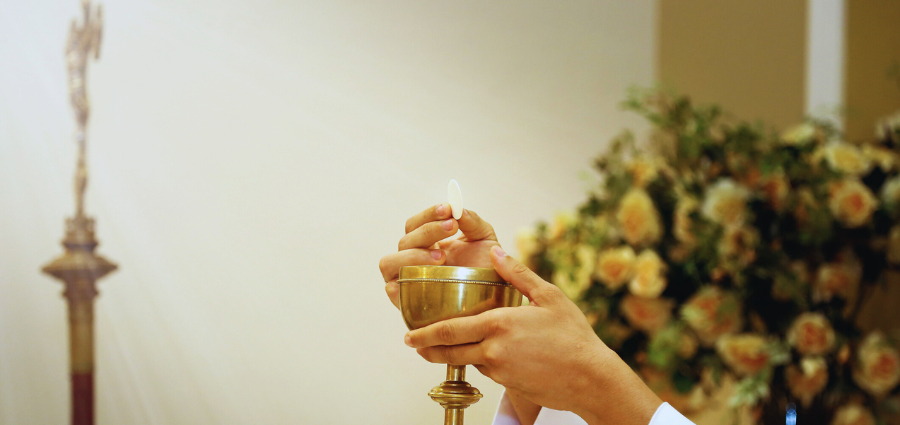 Nourished by the Eucharist, Nourishing the World - Weekday Homily Video