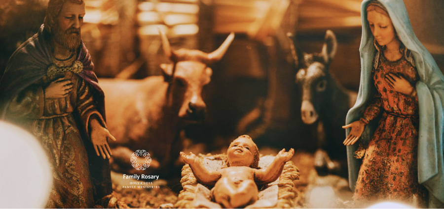 Abide in Truth - Weekday Homily Video