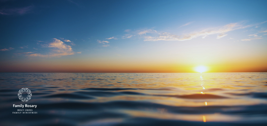 Jesus Calms Our Storms - Weekday Homily Video