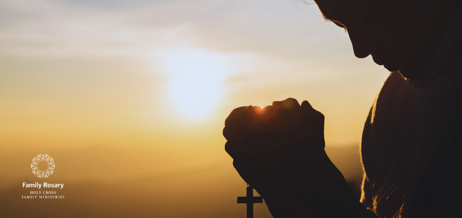 Responding to the Authority of Jesus - Weekday Homily Video