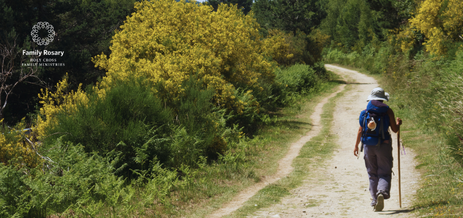 Stepping Towards the Lord - Weekday Homily Video