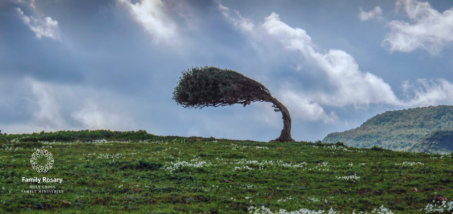 Learning to be Flexible - Weekday Homily Video