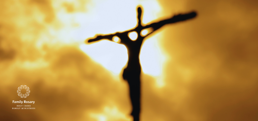 Embracing Suffering - Weekday Homily Video