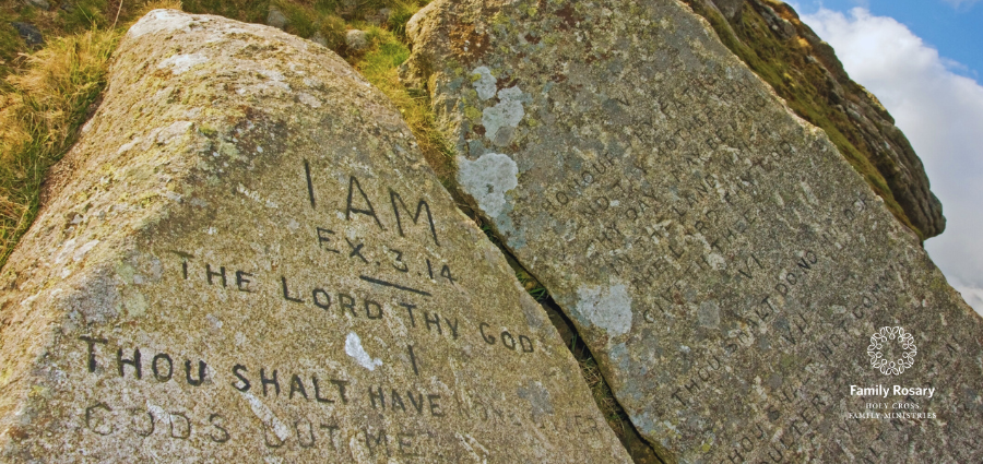 The Law as Gift of Relationship - Weekday Homily Video