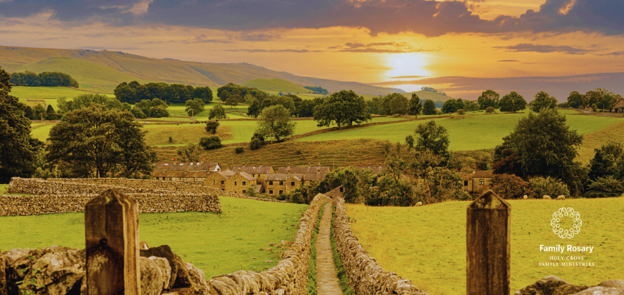 There Is Always a Way Back Home - Weekday Homily Video