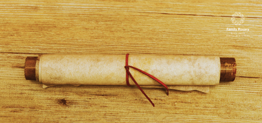 In Search of Truth - Weekday Homily Video