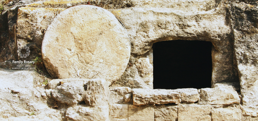 Holy Monday Reflection Lazarus - Weekday Homily Video