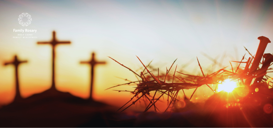 Catholic Central: Salvation and Redemption