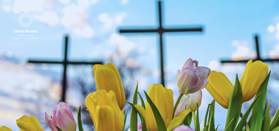 Jesus Brings Life Changing Hope- Weekday Homily Video