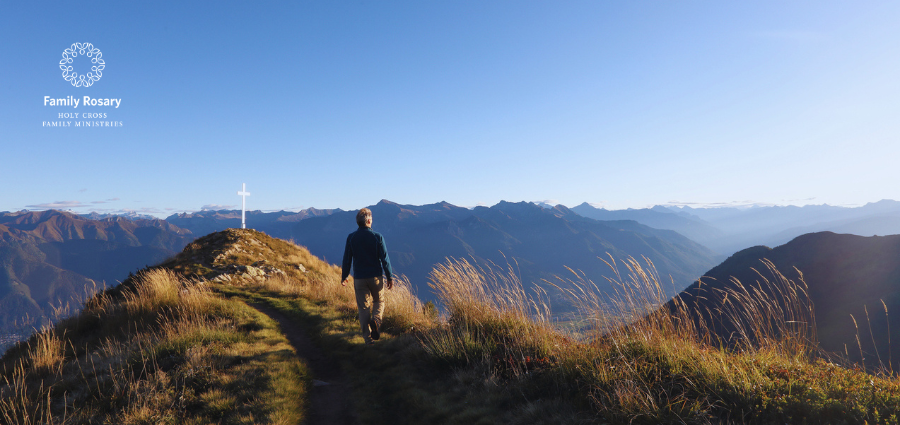 Journeying from Fear to Faith - Weekday Homily Video