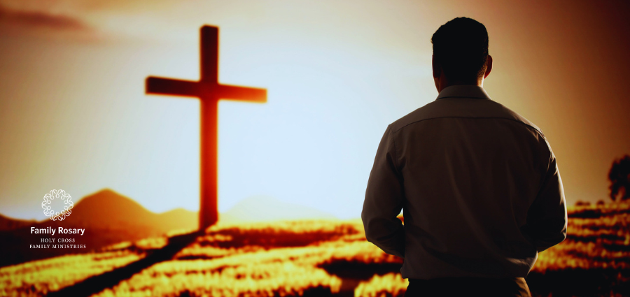 Who Paid You For This - Weekday Homily Video