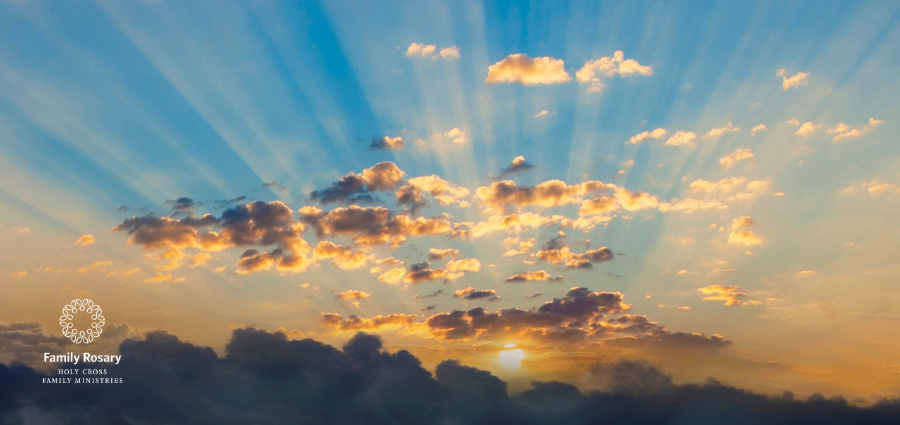 Unshakable in the Light - Weekday Homily Video