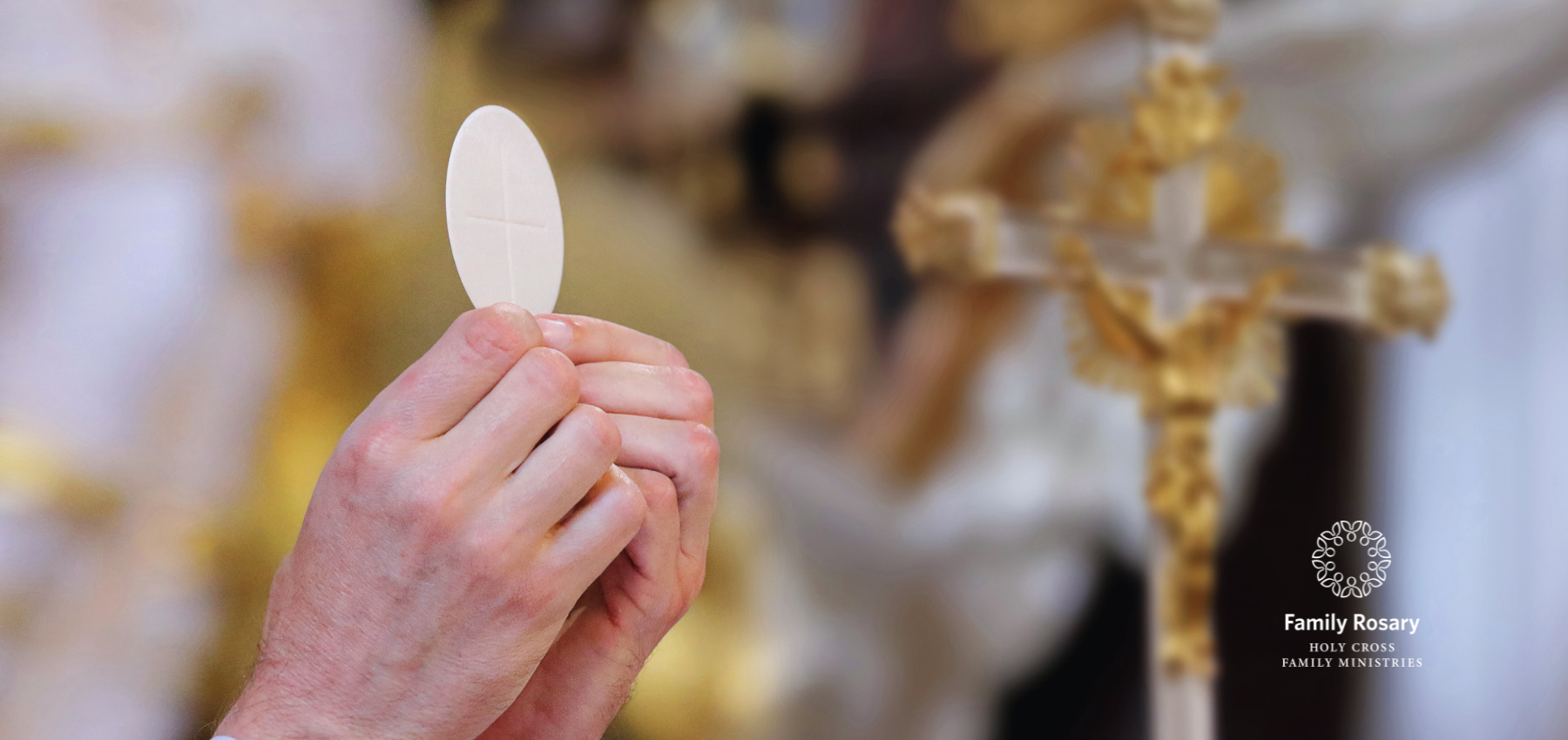 Hungering for the Bread of Life - Weekday Homily Video