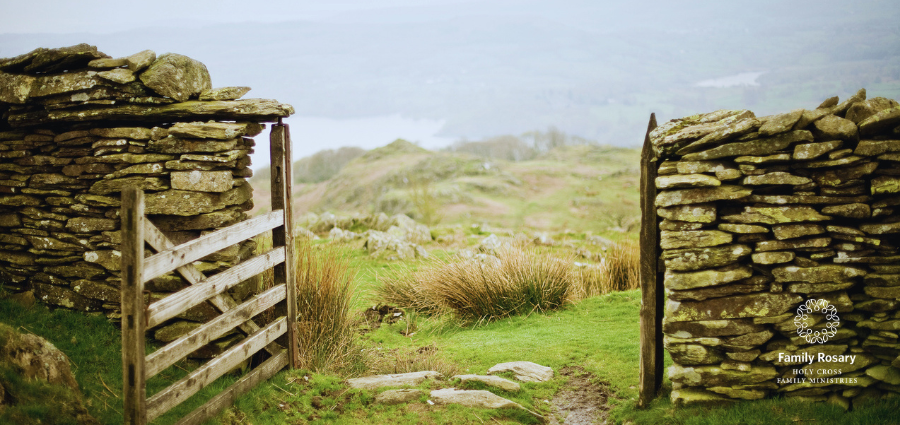 I Am the Gate- Weekday Homily Video