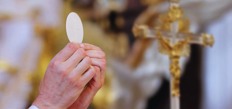 Believing and Receiving Jesus - Weekday Homily Video