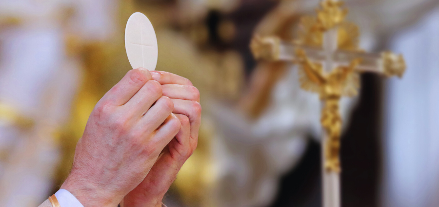 Nourished by the Eucharist - Weekday Homily Video