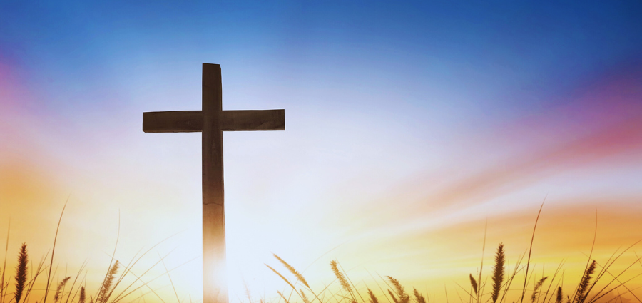 Facing Our Weakness with Faith - Weekday Homily Video