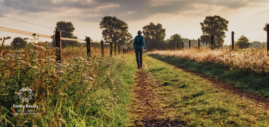 Focus on the Horizon - Weekday Homily Video