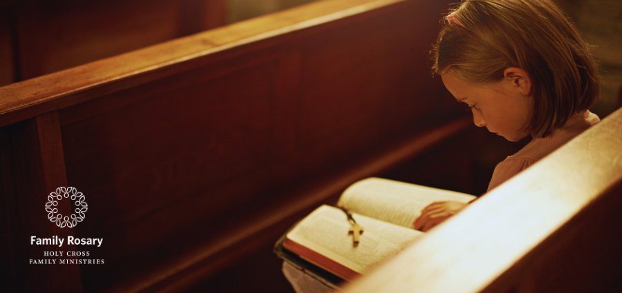 Transformed Through the Good News - Weekday Homily Video