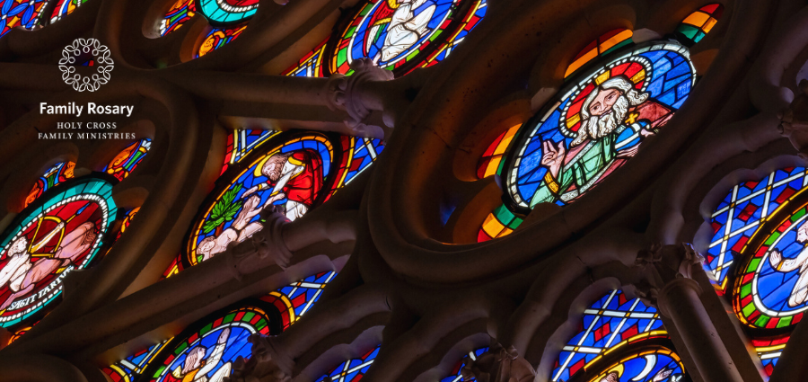 The Marvelous Gift of Faith - Weekday Homily Video
