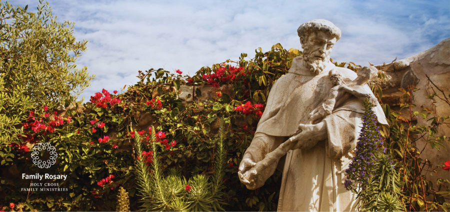 St. Junipero Serra: Relationships and Choosing Good- Weekday Homily Video