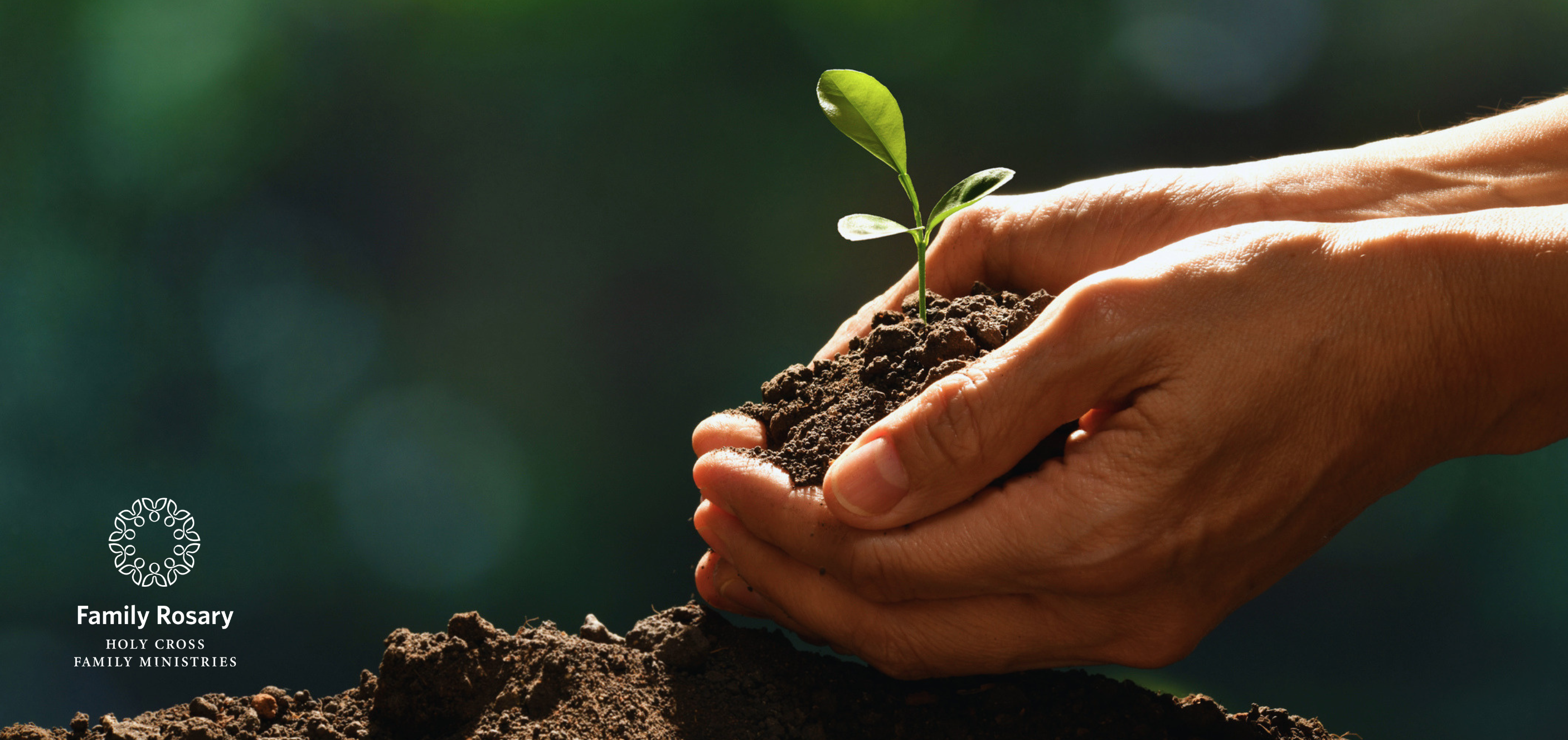 Cultivating the Soil of the Family Heart - Weekday Homily Video